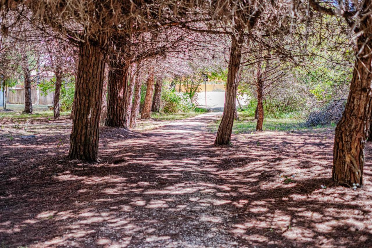 Bosco Canoro Bibione Resort מראה חיצוני תמונה